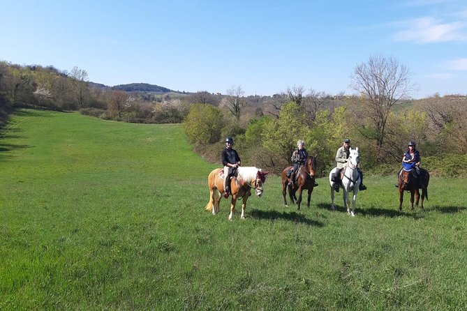 Horse Ride, Olive Oil and Local Foods Tasting in a Tuscan Farm - Common Questions