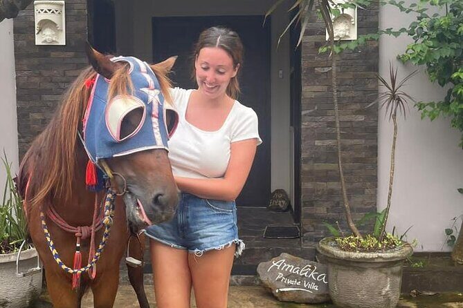 Horse Ride On The Beach Gili Islands - The Value and Who Will Love This Tour