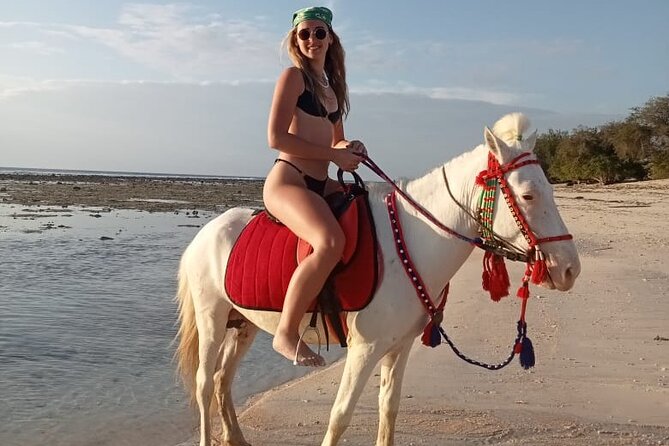 Horse Ride On The Beach Gili Islands - Pricing and Booking Information