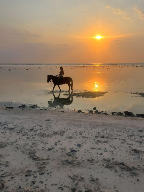 Horse Ride On The Beach on Gili Island - Good To Know