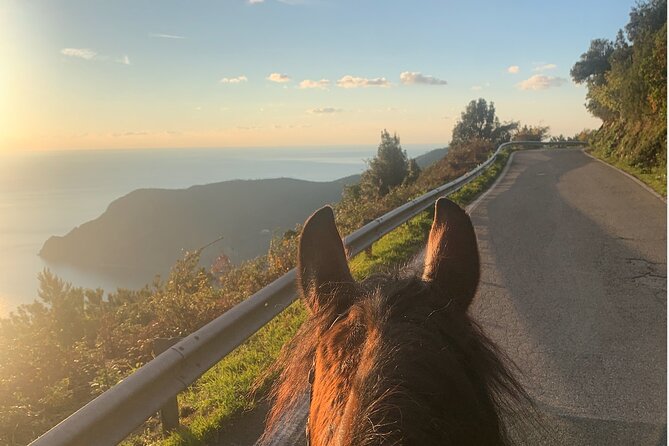 Horse Ride on the Coast of Monterosso Al Mare Cinque Terre - Cancellation Policy
