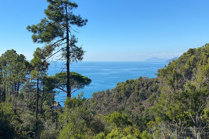Horse Ride on the Coast of Monterosso Al Mare Cinque Terre - Excellent Guide and Convenient Transfer
