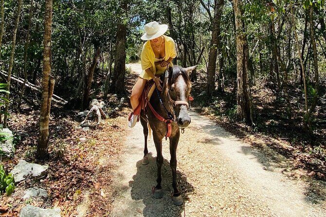 Horse Ride to Cenote Mil Columnas - What is the Horse Ride to Cenote Mil Columnas?