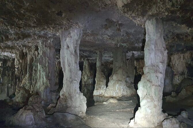 Horse Ride to Cenote Mil Columnas - The Scenic Trail and Riding Experience