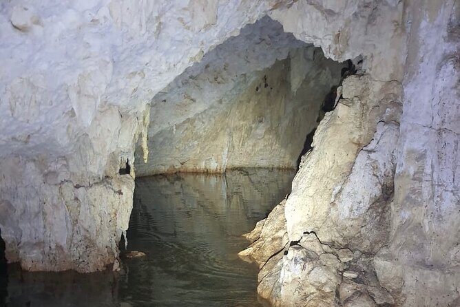 Horse Ride to Cenote Mil Columnas - Who Will Love This Tour?