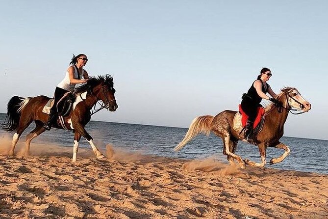 Horse Ride Trip 2 Hour, Bedouin Dinner And Show - Sharm El Sheikh - Cancellation & Refund Policy
