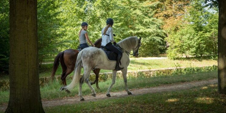 Horse Ride Versailles Intimacy & Vip - Experience the Royal Equestrian Tradition