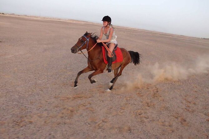 Horse Riding 02 Hours Beach or Desert - Meeting Point Details