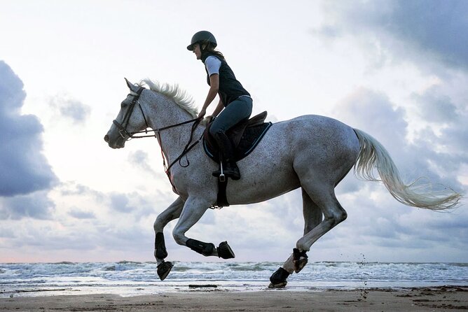 Horse Riding 02 Hours Beach or Desert - Customer Reviews