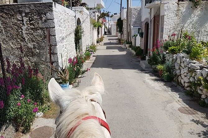 HORSE RIDING 1.5 Hours Mountains From Area Hersonissos CRETE - Important Reminders