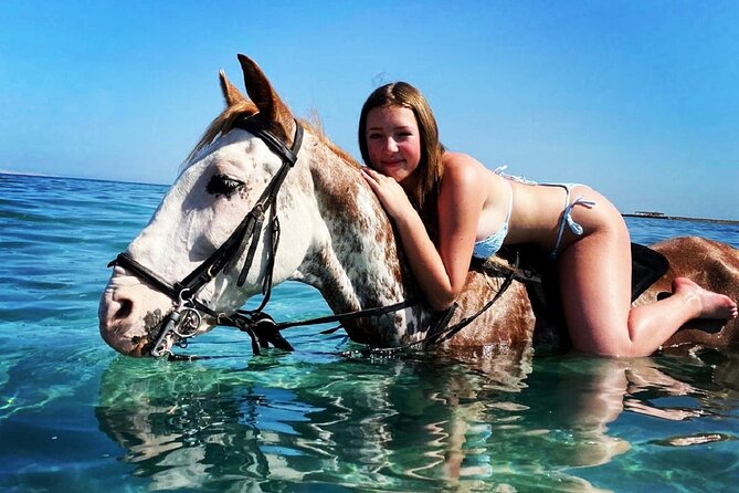 Horse Riding 3 Hours Beach Desert-Hurghada - Good To Know
