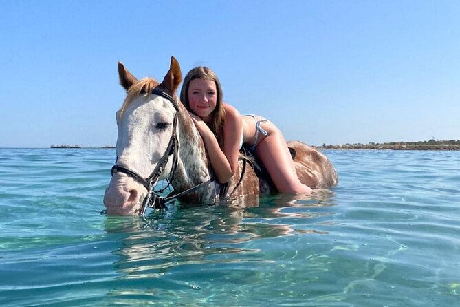 Horse Riding 3 Hours Beach Desert-Hurghada - Directions and Requirements