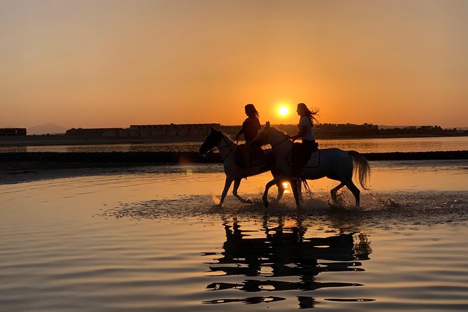 Horse Riding 3 Hours Beach Desert-Hurghada - Pickup and Meeting Points
