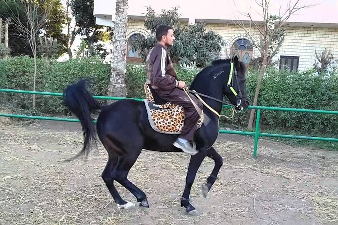 Horse Riding 3 Hours Beach Desert-Hurghada - Frequently Asked Questions