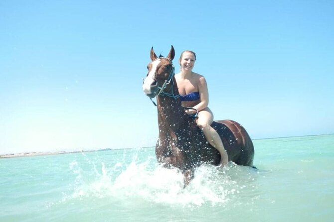 Horse Riding 3 Hours Desert Beach Swimming by Horse in Hurghada - Horse Riding Experience