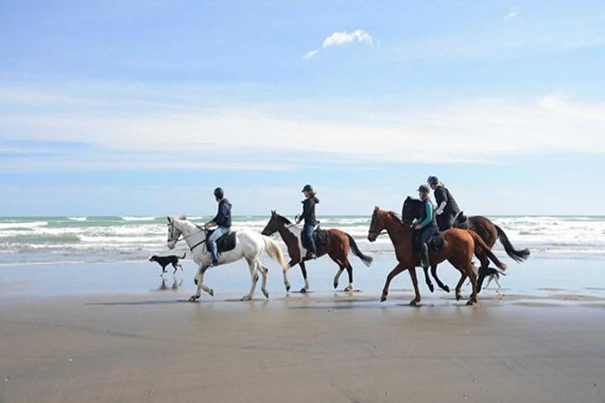 Horse Riding Adventure 2 Hours Sea and Desert - Hurghada - Tour Highlights
