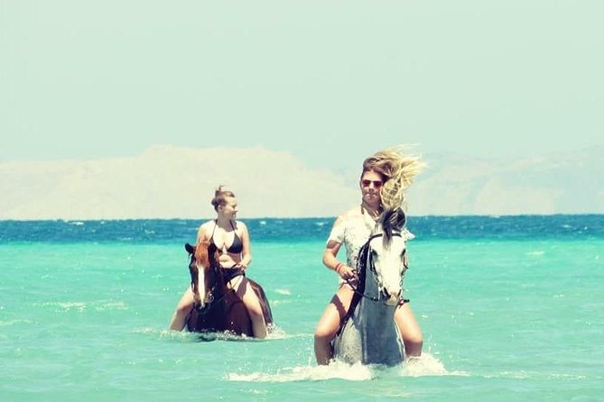 Horse Riding Adventure 2 Hours Sea and Desert - Hurghada - Host Responses