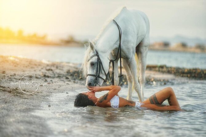Horse Riding Adventure 2 Hours Sea and Desert - Hurghada - Booking Confirmation and Cancellation