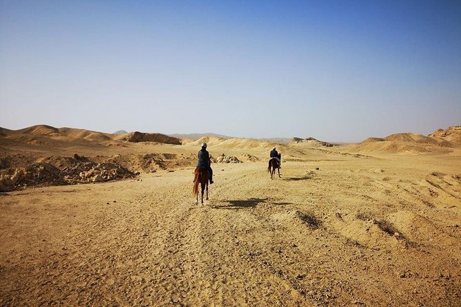 Horse Riding Adventure 2 Hours Sea and Desert - Hurghada - Additional Information