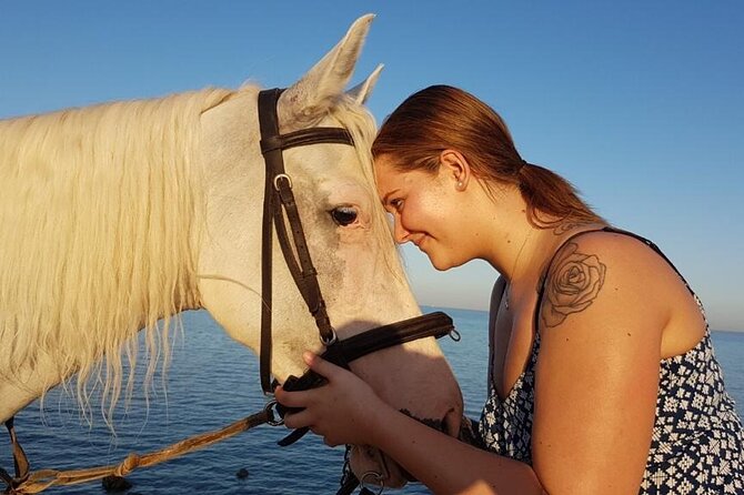 Horse Riding Adventure 2 Hours Sea and Desert - Hurghada - Reservation and Payment Details