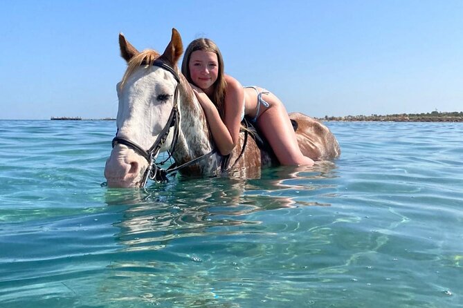 Horse Riding Adventure and Two Hours Relaxation Turkish Bath - Hurghada - Traveler Limit and Operator Information