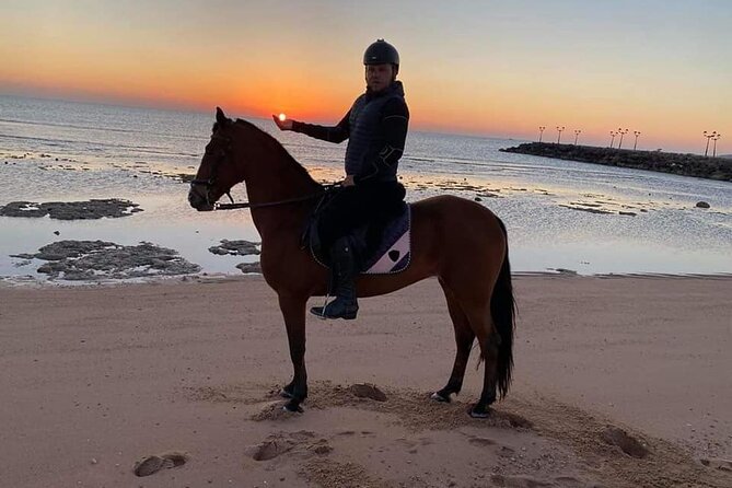 Horse Riding Adventure and Two Hours Relaxation Turkish Bath - Hurghada - Cancellation Policy Details