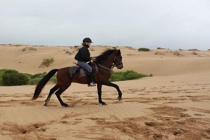 Horse Riding Agadir - Good To Know