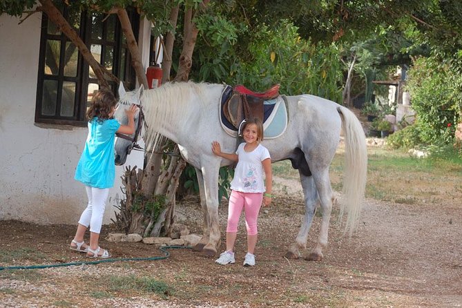 Horse Riding Agadir - Operating Hours