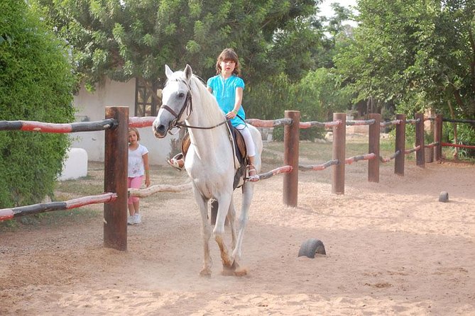 Horse Riding Agadir - Pickup and Transportation
