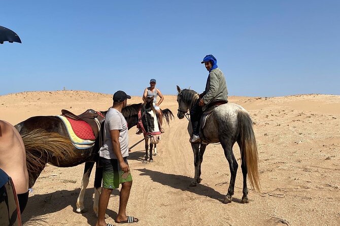 Horse Riding Agadir - Reviews and Featured Review