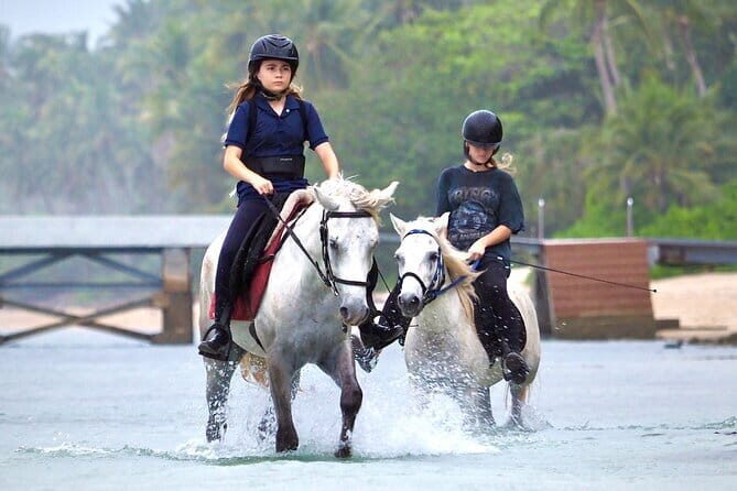 Horse Riding and Beach Trails on Koh Samui - Discovering Koh Samui on Horseback: An Authentic Adventure