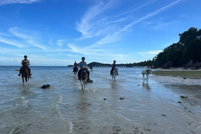 Horse Riding and Beach Trails on Koh Samui - Final Thoughts: Is It Worth It?