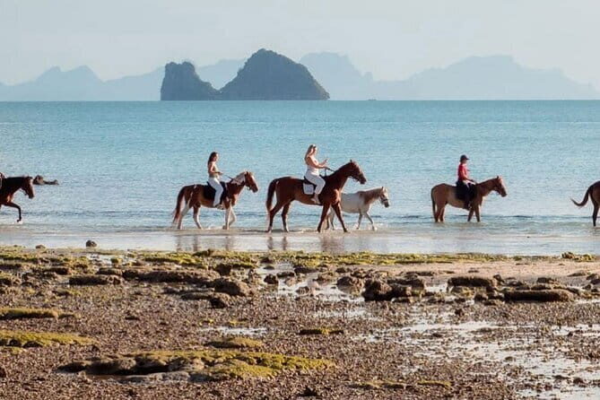 Horse Riding and Beach Trails on Koh Samui - Exploring Koh Samui on Horseback: An Overview