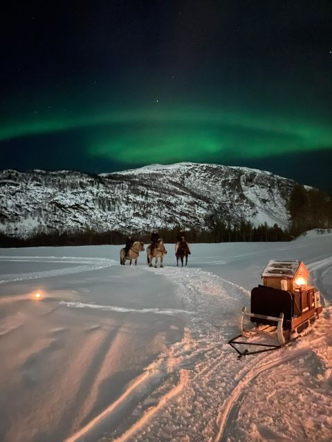 Horse Riding and Dining Experience - Experience Highlights