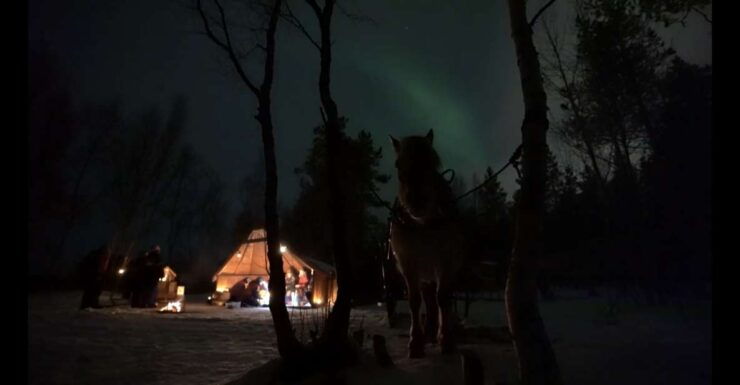 Horse Riding and Dining Experience - Full Experience Description