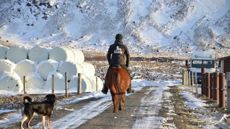 Horse riding at Reykjadalur Hot Spring Steam Valley in Hveragerdi - Riding Icelandic horses beside Reykjadalur