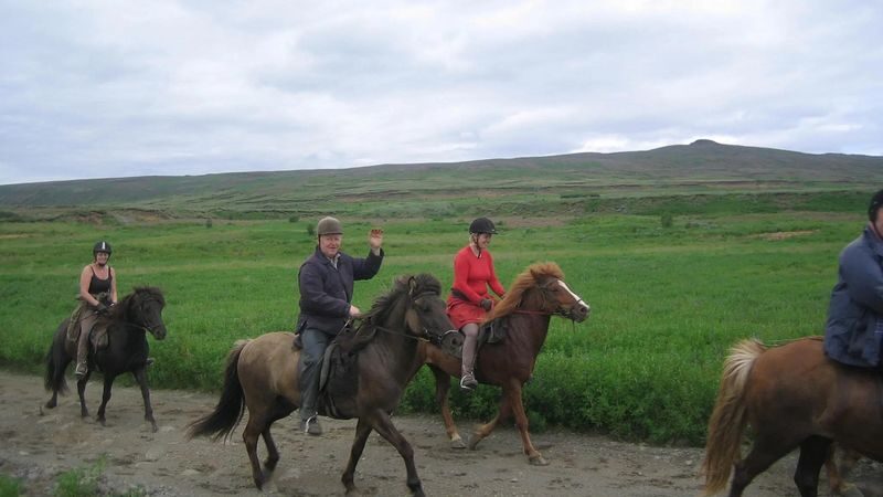 Horse riding at Reykjadalur Hot Spring Steam Valley in Hveragerdi - Choosing the right duration and package