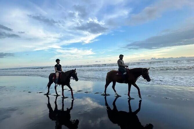 Horse Riding Bali On pigstone beach, Rice Field and village Tour - A Closer Look at the Experience
