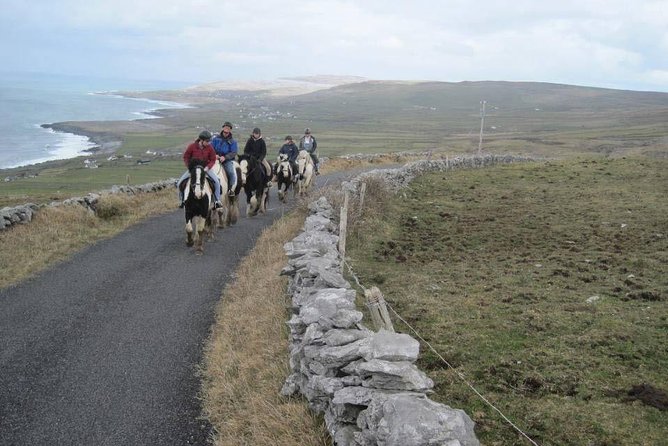 Horse Riding - Burren Trail. Lisdoonvarna, Co Clare. Guided. 3 Hours. - Meeting and Pickup Details