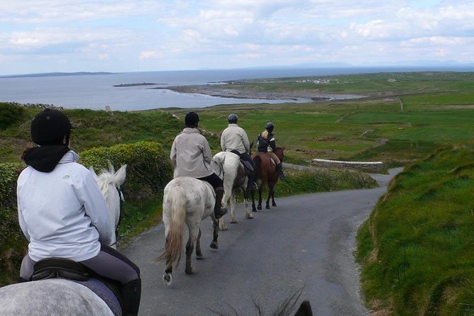 Horse Riding - Burren Trail. Lisdoonvarna, Co Clare. Guided. 3 Hours. - Common Questions