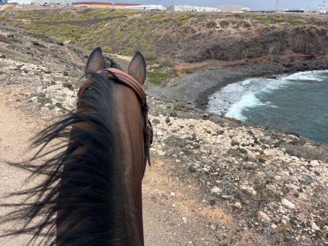 Horse Riding Coast Tour - Pricing and Availability