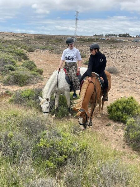 Horse Riding Coast Tour - Whats Included