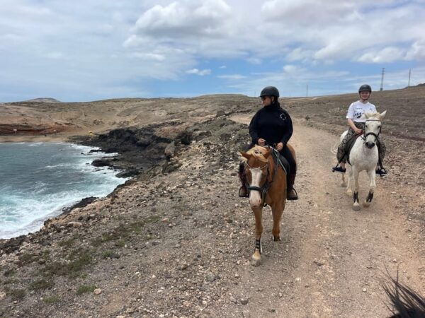Horse Riding Coast Tour - Meeting Point