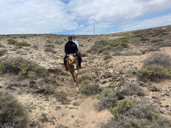 Horse Riding Coast Tour - Cancellation Policy