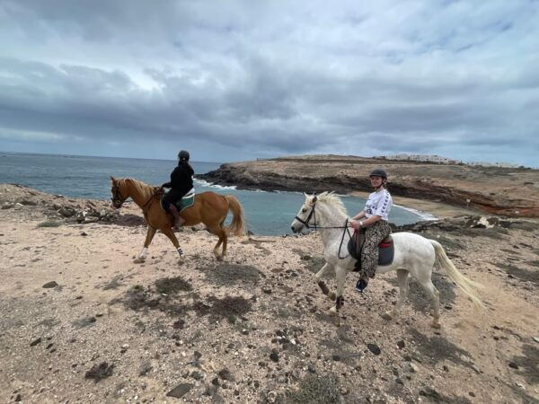 Horse Riding Coast Tour - Frequently Asked Questions