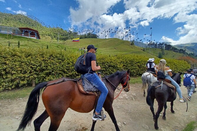 Horse Riding Cocora Valley - Best Time to Experience the Adventure