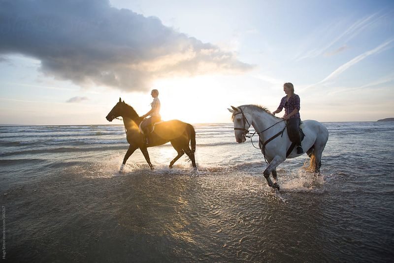 Horse Riding Combo Experience in Bali - A beach ride with room to build a bigger day