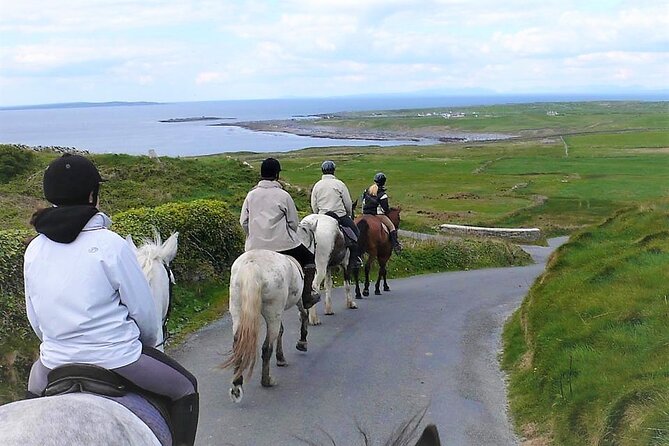 Horse Riding - Dirt Trek Trail. Lisdoonvarna, Clare. Guided. 1 Hour. - What to Expect