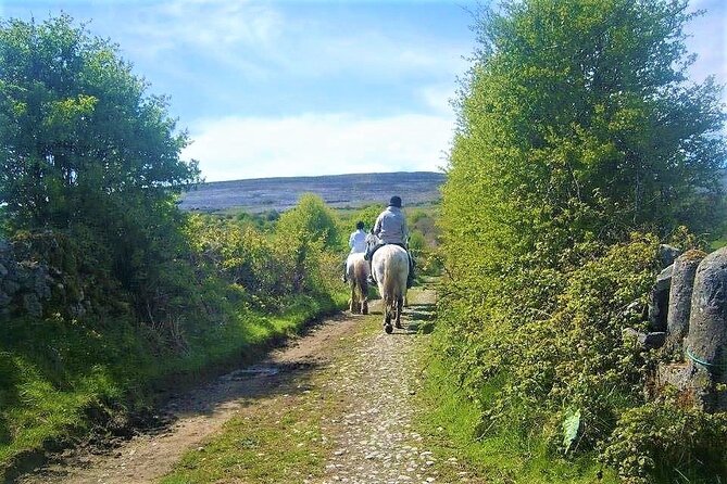 Horse Riding - Dirt Trek Trail. Lisdoonvarna, Clare. Guided. 1 Hour. - Cancellation Policy