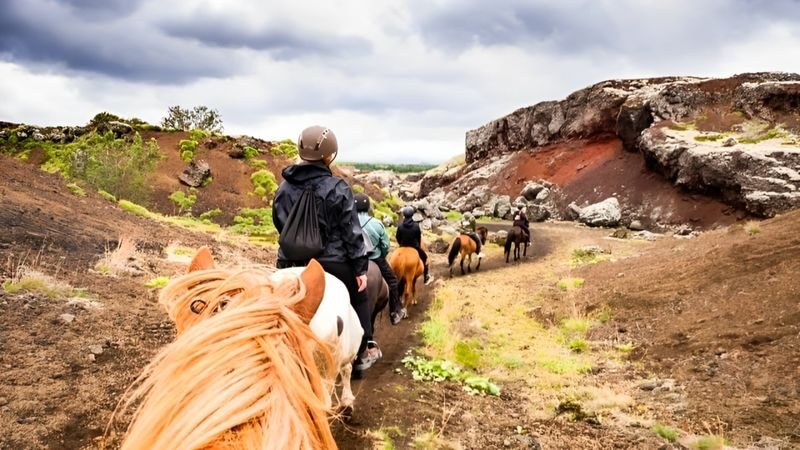 Horse riding experience at Red Lava Hills in Reykjavik - Leaving Reykjavik for the Red Hills